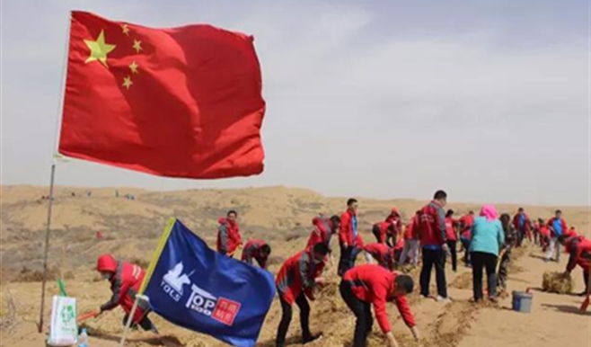 沙漠植入鐵騎樹，荒原開出活力(li)花(huā)