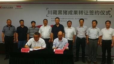 【四川科(ke)技(ji)網】“川藏黑豬”成(cheng)果轉讓簽約儀式(shi)在(zai)成(cheng)都舉行