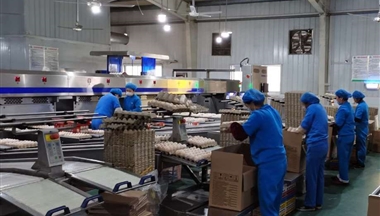 【人(ren)民(mín)日(ri)報】鐵騎力(li)士集(ji)團(tuán)爲(wei)武漢一(yi)線(xiàn)醫(yī)護人(ren)員(yuan)捐贈100萬元