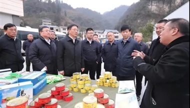 赴威信(xin)縣調研,雲南(nan)省委(wei)副書記、省長(zhang)王予波(bo)對滇東北金色